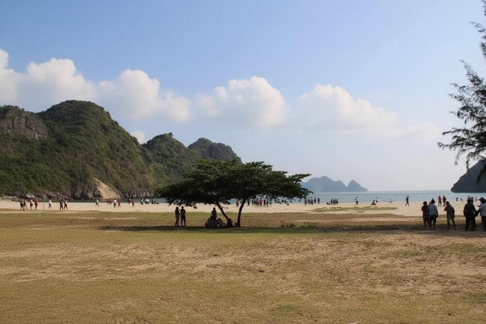 Bãi tắm Tùng Thu thu hút du khách nhờ vẻ đẹp hoang sơ